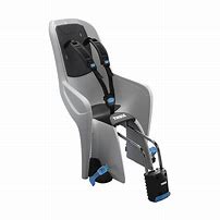 Thule RideAlong 2 Tiltable Child Bike Seat
