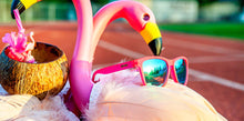 Load image into Gallery viewer, goodr OG Sunglasses - Flamingos on a Booze Cruise