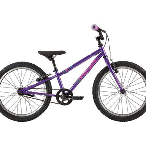 Garneau F-20 Kids Complete Bicycle Purple - PICK UP ONLY