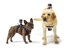 Load image into Gallery viewer, GoPro Fetch Dog Harness